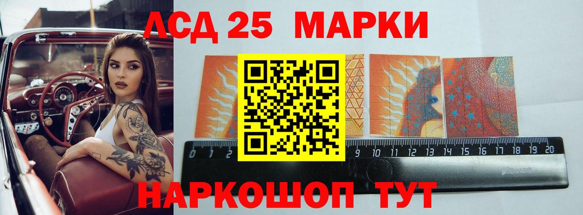 Галлюциногенные грибы Каменка