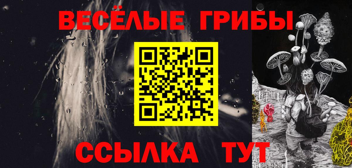 Каменка  Галлюциногенные грибы мухоморы  где купить наркотик  Вход с VPN  Галлюциногенные грибы прущие грибы 